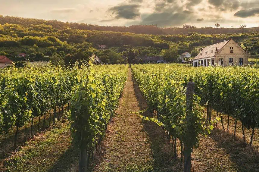 amador county wineries