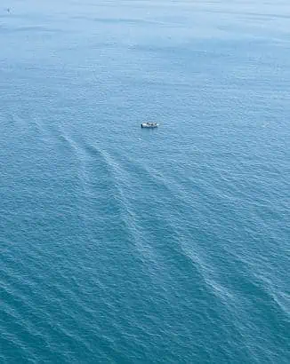 Deep Sea Fishing Galveston : A Paradise for Anglers 4