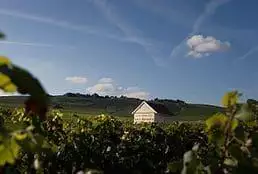 anderson valley wineries