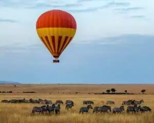 Top 10 Safest Countries in Africa 18