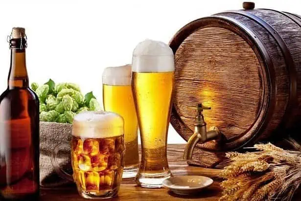 Top 14 Amazing Breweries In Denver Colorado 2