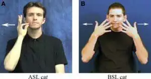 Reasons Why is Sign Language Universal and Why it Isn't 6 asl and british sign language