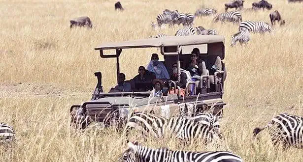 Top 6 Kinds of Safaris 2