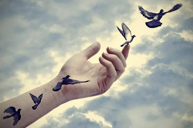 letting go poems