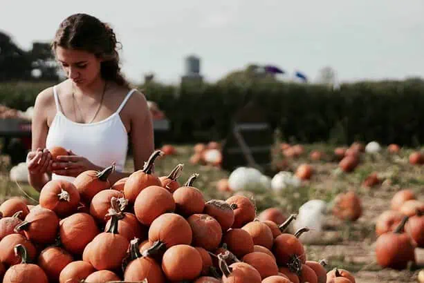 Pumpkin Picking Long Island : 5 Best Farms to Visit 2