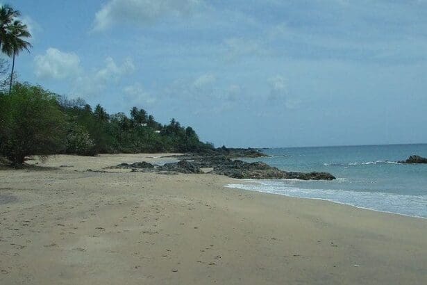 best birdwatching sites in tobago
