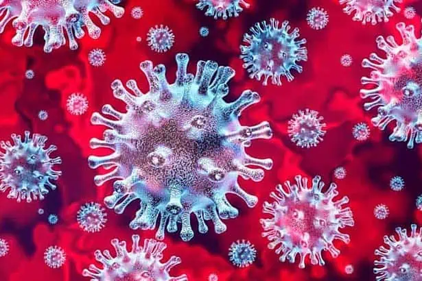 Corona Virus