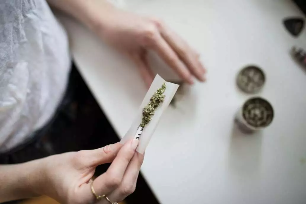 Best Guide to How to Roll a Joint in 3 Simple Steps! 5 joint filter