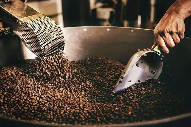 Coffee plantation Tour Rwanda