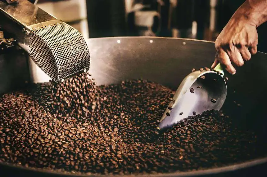 Coffee plantation Tour Rwanda
