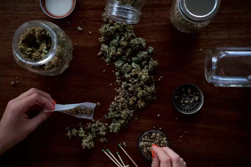 Best Guide to How to Roll a Joint in 3 Simple Steps! 7 how to roll a joint