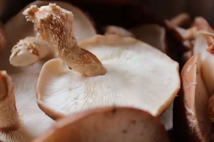 Cream of Mushroom Soup: How to Make the Best 1-Pot Dish 1 cream of mushrooms