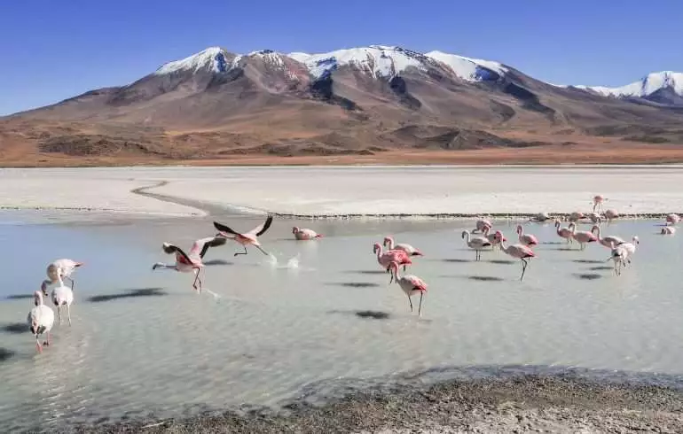 Bolivia Cost of Travel 2021- Discover The Best 2 Bolivia cost of travel