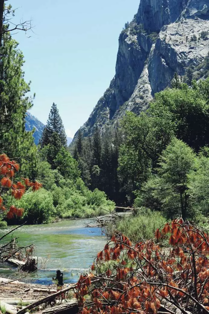 How many national parks are there in the US