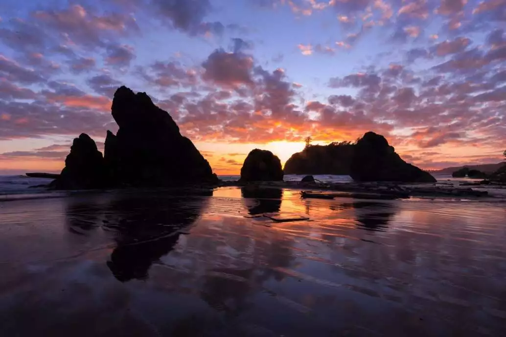 How many national parks are there in the US