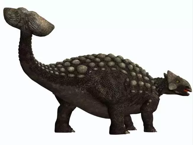 6 Amazing Facts About Herbivore Dinosaurs 3