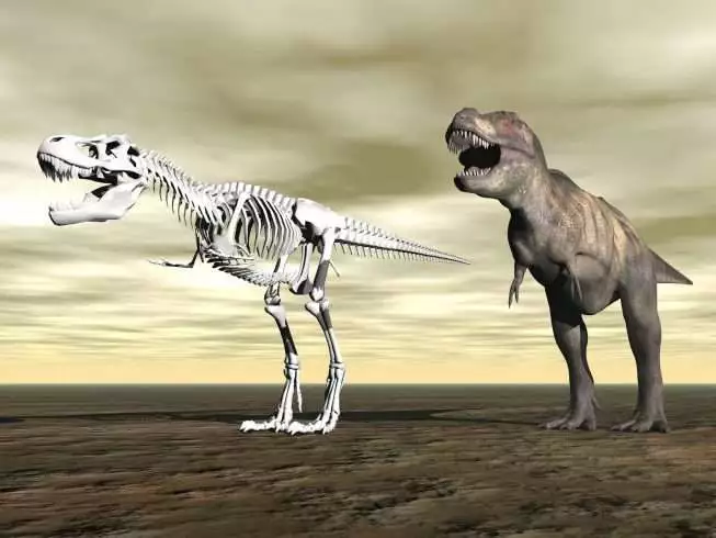 Tyrannosaurus rex 