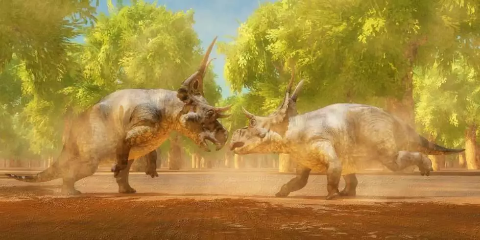 6 Amazing Facts About Herbivore Dinosaurs 11