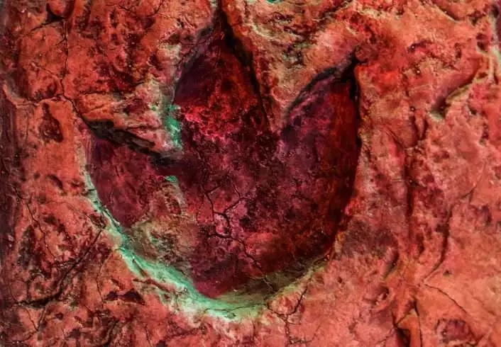 Ornithopods footprint