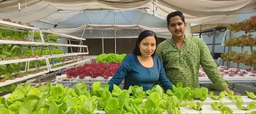 Hydrovalley: A Green Revolution through Innovative Hydroponic Farming 1 Picture by Pragya Sahu