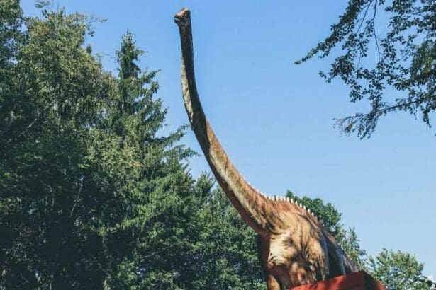 Herbivore dinosaur
