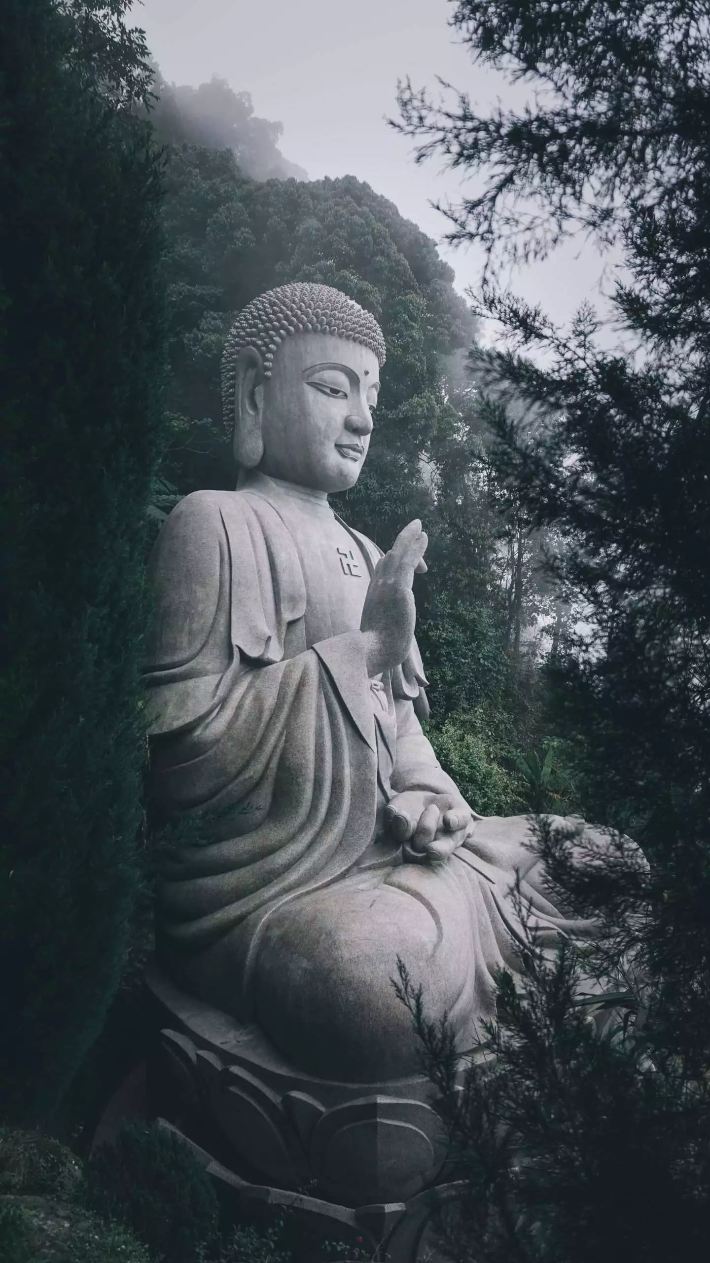 10 Amazing Facts about Ashoka Dhamma 3 Inspiration for Ashoka Dhamma Photo by Teddy Wijaya on Unsplash/ Copyright-2022