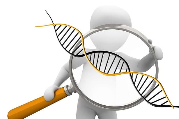 Chromosomal theory of inheritance