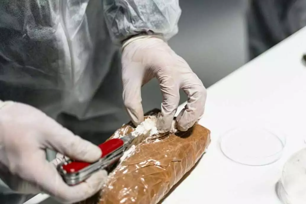 Best Guide on How Long Does Cocaine Stay in Your System? 2 how long does cocaine stay in your system