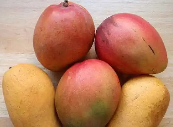 How many calories in a mango?