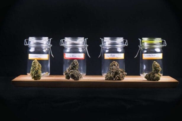 Assorted cannabis bud strains and glass jars isolated on black background - medical marijuana dispensary concept.