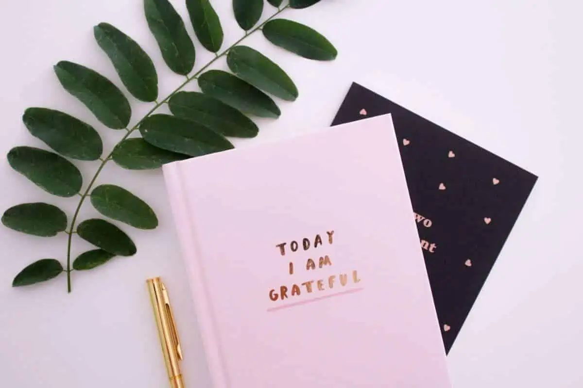 Manifestation Journal