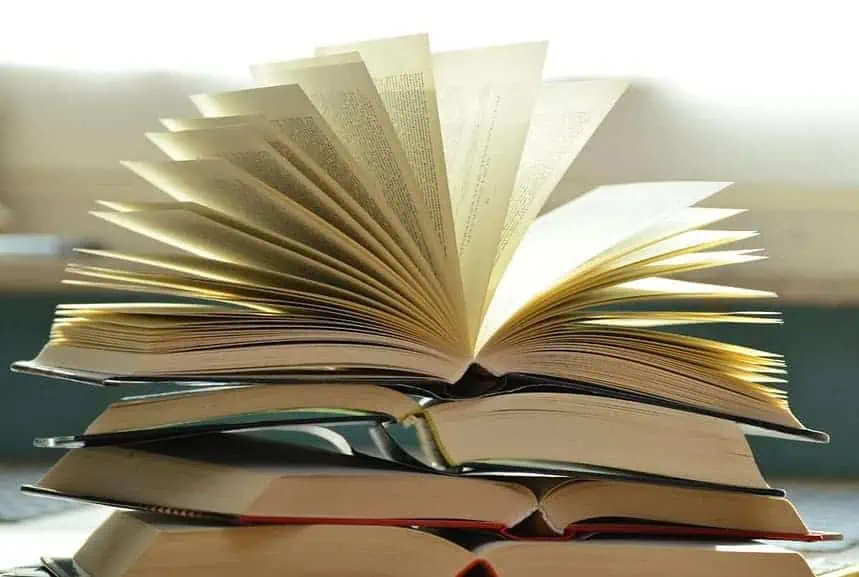27 Best Psychological Thriller Books to Give You the Chills 1