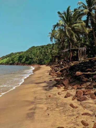 things to do in south goa