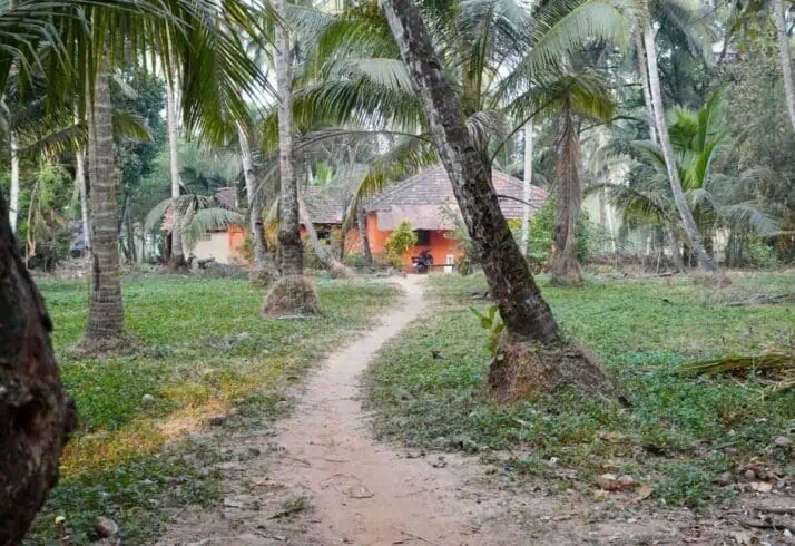 things to do in south goa