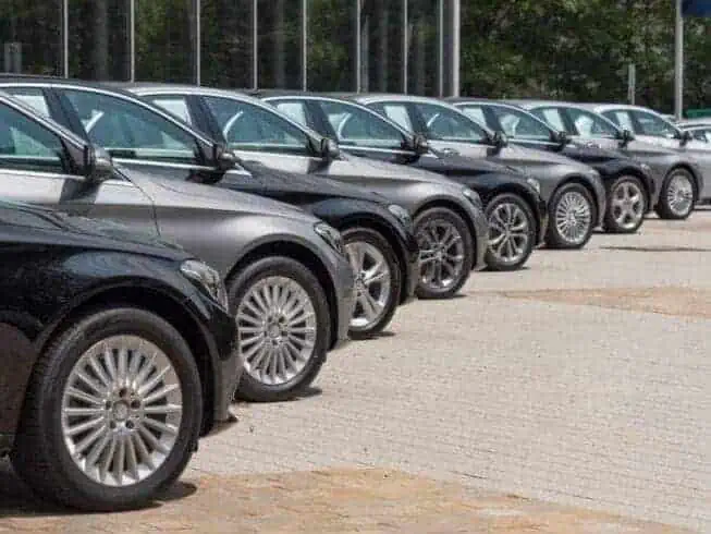 used cars for sale in a long row.