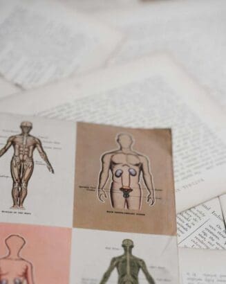 Fun facts about the human body