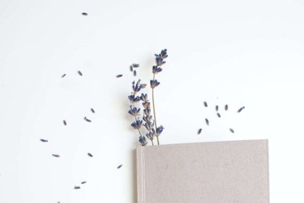 What to Journal About: 11 Interesting Ideas 5