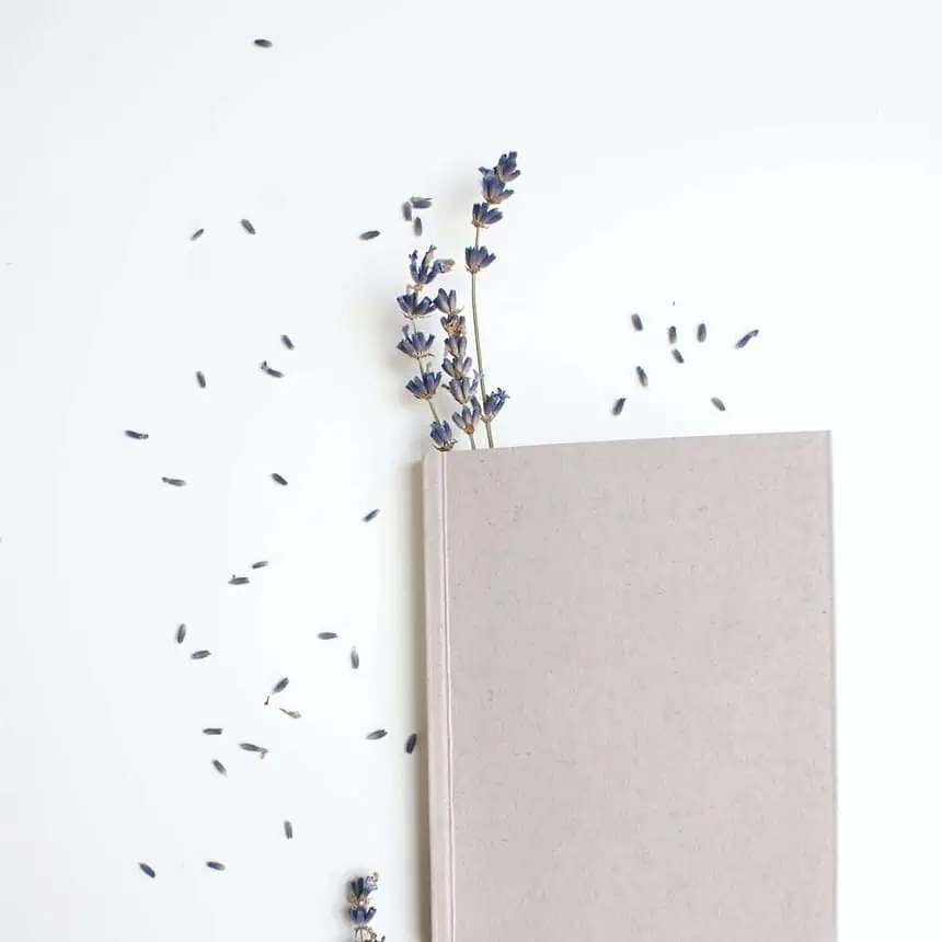 What to Journal About: 11 Interesting Ideas 1 What to Journal About: 11 Interesting Ideas 1