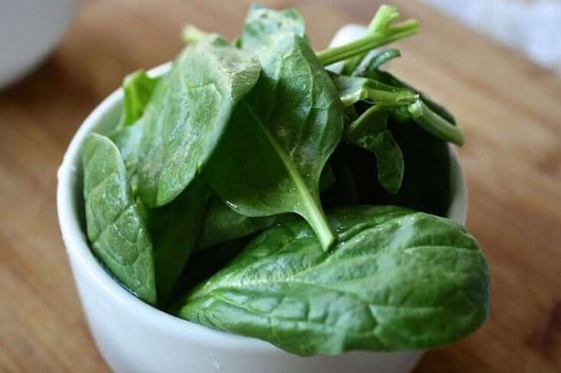 3D Printing and Spinach Leaves to Heal a Heart 5