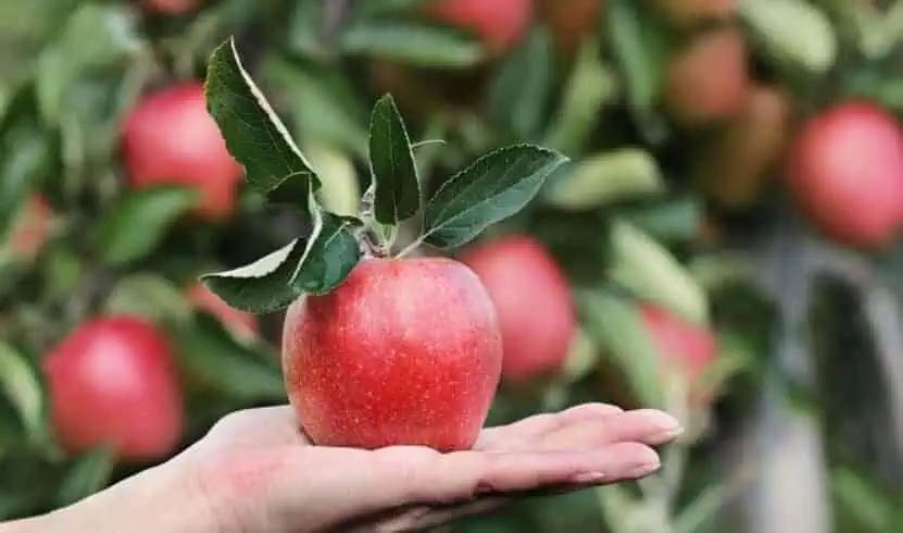 35 Best Surprising Health Facts 3