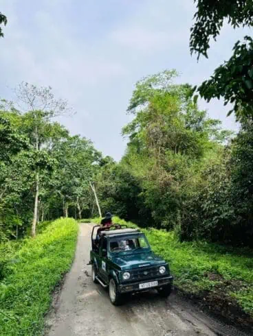 20 Top-Rated Things to Do in Mount Abu 2 Wildlife Mount Abu