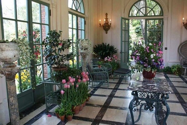 Indoor flowering plants