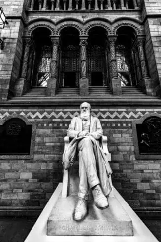 What is Social Darwinism: 8 Powerful Insights 1 What is Social Darwinism