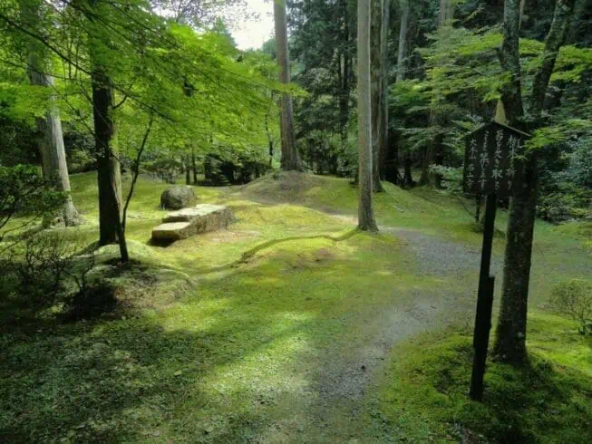 Top 18 Incredible Fun Facts About Japan 7