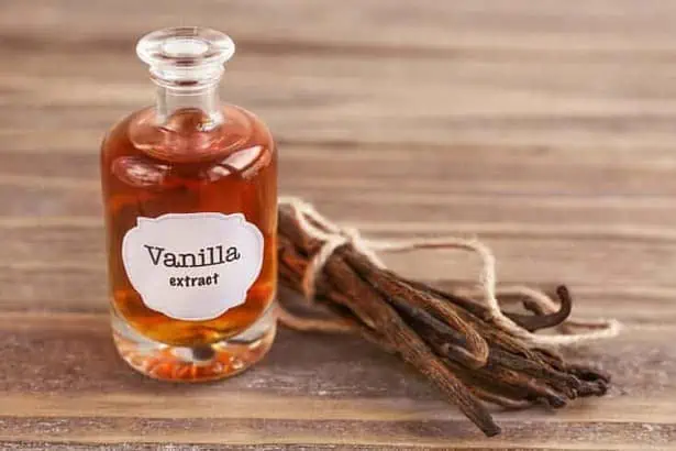 Where does vanilla extract come from