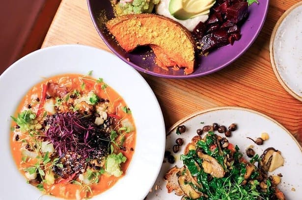 Vegan Food