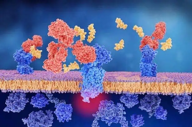 Using Peptide Therapy to Treat Long-Term Conditions 2