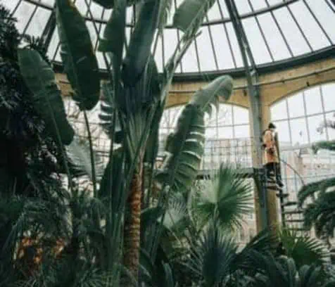 Inspiring Gardening: Explore Gardening and It's Future Variations!