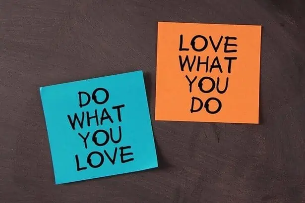 50+ Do What You Love Quotes 9