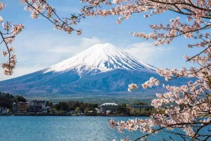 Top 18 Incredible Fun Facts About Japan 8